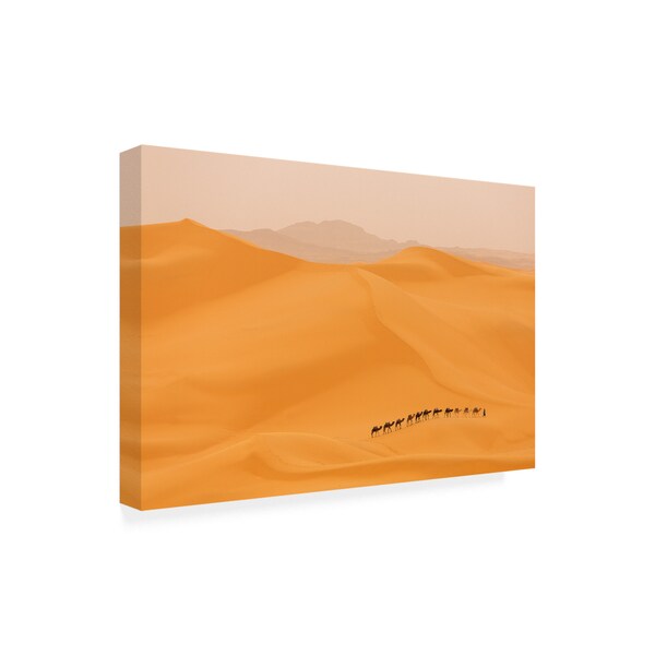 Dan Mirica 'Camels Caravan In Sahara' Canvas Art,12x19